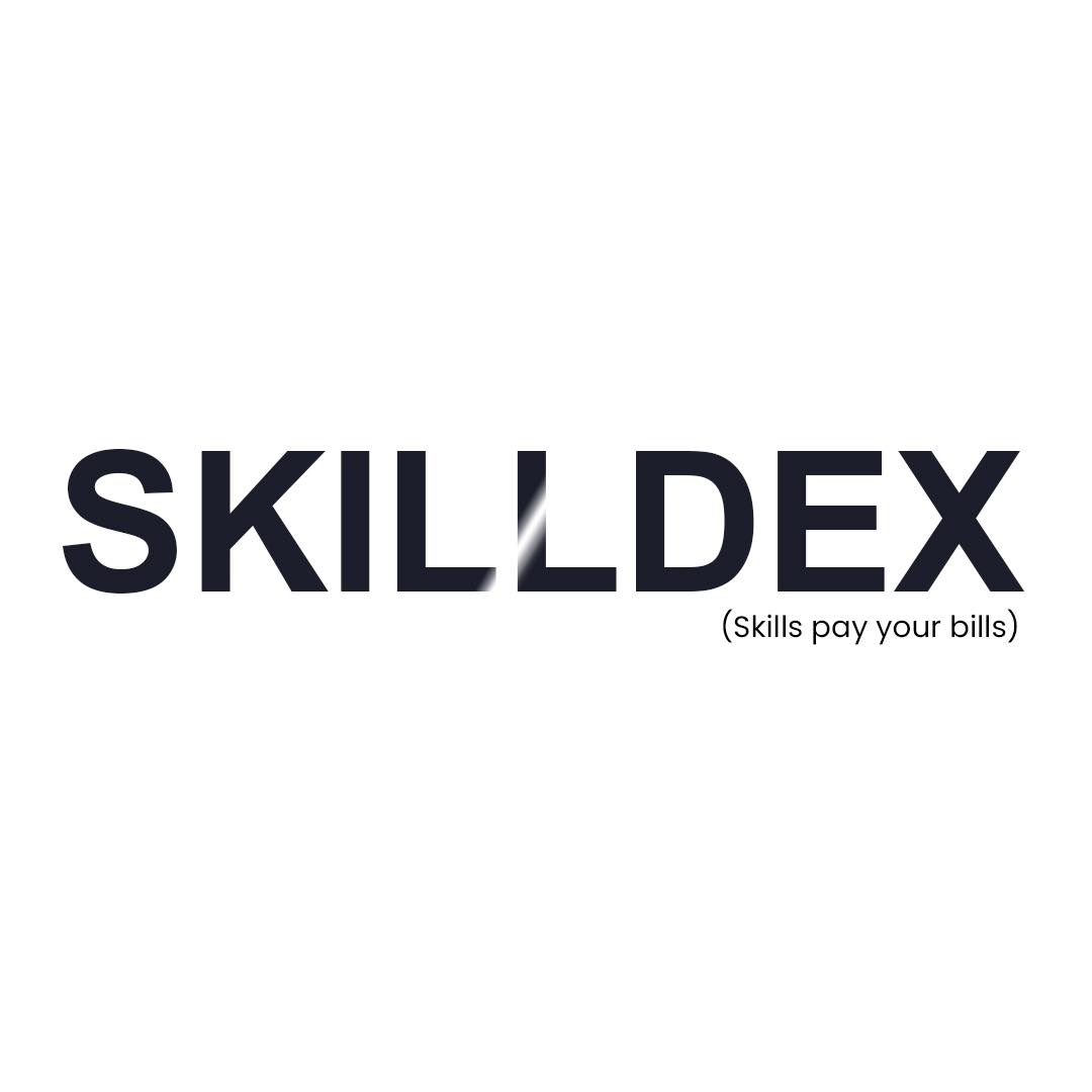 SkillDex IT Course Academy 