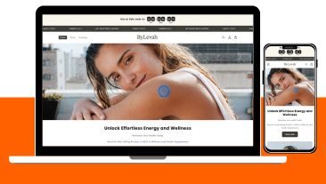 bylevah-webytize portfolio